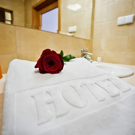 Hotel Zawisza 3*