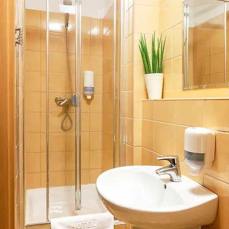 ホテル Zawisza 3*