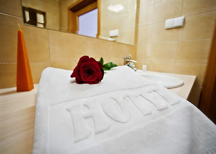 Hotell Zawisza 3*